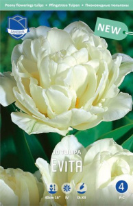 Тюльпан пионовидный "Evita" (1х10шт) купить