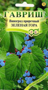 Виноград Зеленая гора приречный  купить