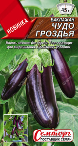 Баклажан Чудо гроздья купить