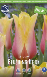Тюльпан простой поздний "Blushing Lady" (1х10шт) купить