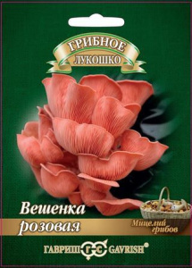 Вешенка Розовая на древесной палочке  купить