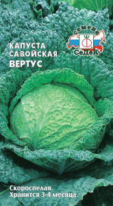 Капуста (савойская) Вертус купить