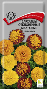 Бархатцы Бой, смесь откл. махр. купить