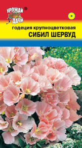 Годеция Сибил Шервуд  купить