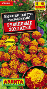 Бархатцы Рубиновые хохлатые отклоненные купить