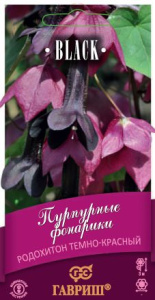 Родохитон Пурпурные фонарики серия Блэк  купить