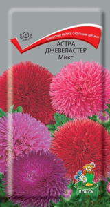 Астра Джевеластер Микс купить