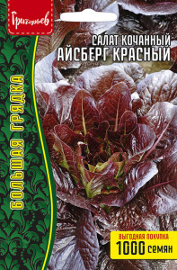 Салат Айсберг Красный кочанный купить