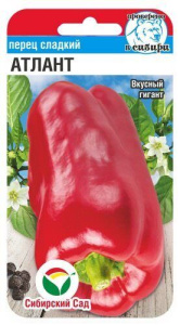 Перец Атлант  купить