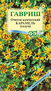 Седум камчатский Карамель  купить