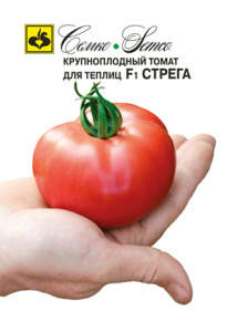 Томат Стрега F1 купить