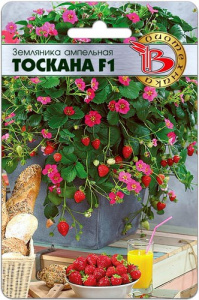 Земляника Тоскана F1 ампельная  купить