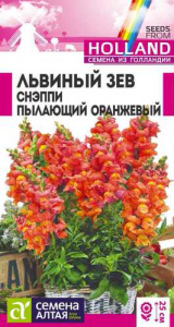 Львиный зев Снэппи Пылающий оранжевый   купить