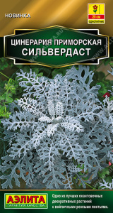Цинерария Сильвердаст Золотая серия купить