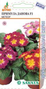 Примула Данова Метеор   купить
