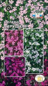 Смолевка (силена) Пирушка купить