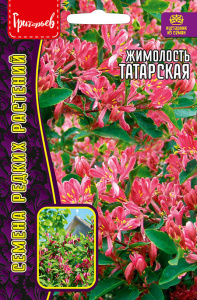 Жимолость Татарская купить