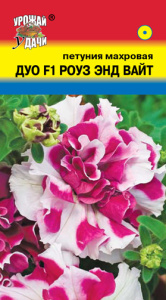 Петуния Дуо F1 Роуз энд Вайт махр. многоцв. купить