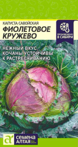 Капуста (савойская) Фиолетовое Кружево  купить
