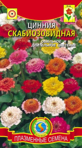 Цинния Скабиозовидная смесь  купить