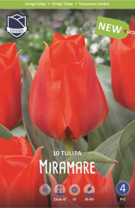 Тюльпан Мирамаре /10шт купить