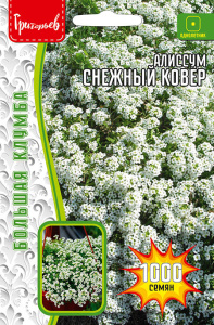 Алиссум Снежный Ковер купить