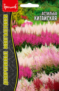 Астильба Китайская купить