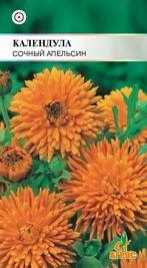 Календула Сочный апельсин купить