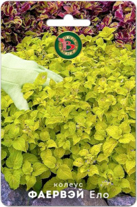 Колеус Фаервэй Ело супер-компактный купить