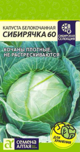 Капуста Сибирячка 60 купить