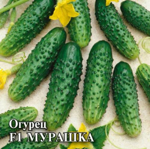 Огурец Мурашка F1 250шт  корнишон купить