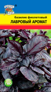 Базилик Лавровый Аромат фиолетовый  купить
