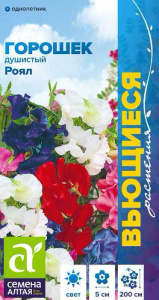 Душистый горошек Роял Вьющиеся растения купить