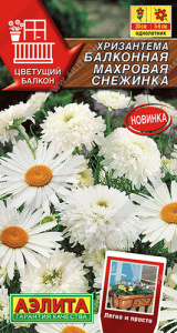 Хризантема Махровая снежинка балконная  купить