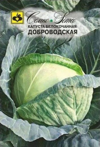 Капуста Доброводская F1  купить
