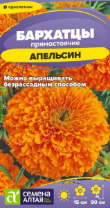 Бархатцы Апельсин прямостоячие купить