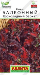 Колеус Шоколадный бархат, балконный  купить