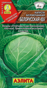 Капуста Белорусская 455 купить