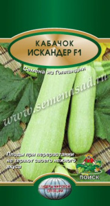Кабачок Искандер F1 купить