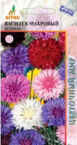 Василек Махровый Великан купить