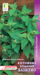 Котовник кошачий Базилио купить