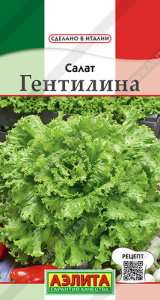 Салат Гентилина купить