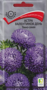 Астра Валентинов день Темно-синяя купить