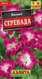 Ипомея Серенада махровая  купить