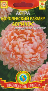 Астра Королевский размер Абрикос  купить