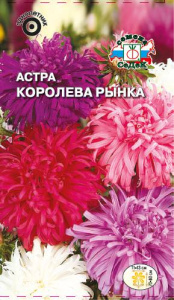 Астра Королева рынка купить