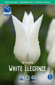 Тюльпан лилейный "White Elegance" (1х10шт) купить