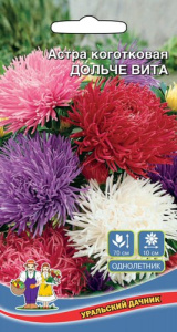 Астра Королевы Гигантов на Пышном Балу  купить