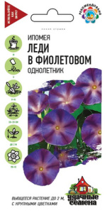 Ипомея пурпурная Леди в фиолетовом  купить