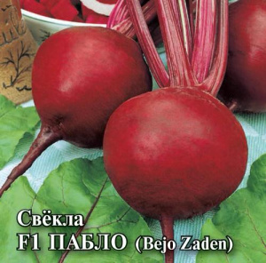 Свекла Пабло F1 10г (Голландия) ПРОФ купить